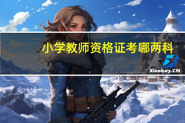 小学教师资格证考哪两科