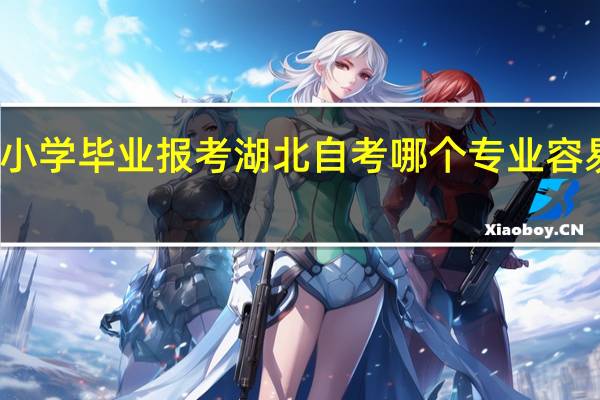 小学毕业报考湖北自考哪个专业容易通过
