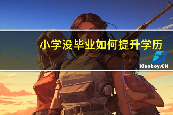 小学没毕业如何提升学历