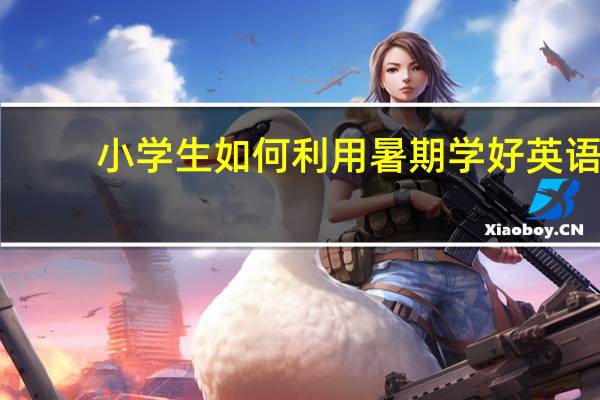 小学生如何利用暑期学好英语