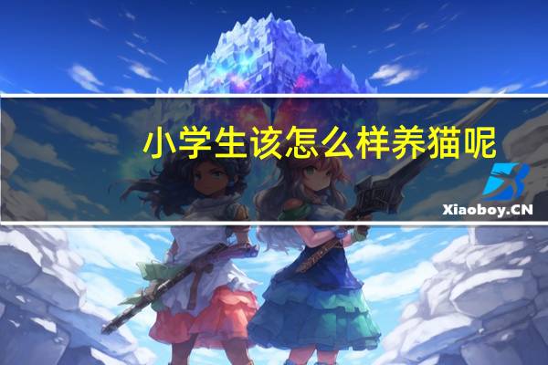 小学生该怎么样养猫呢