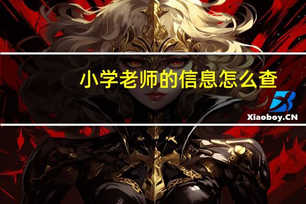 小学老师的信息怎么查