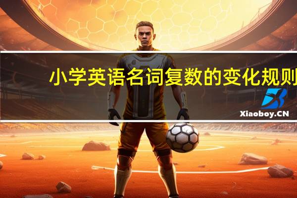 小学英语名词复数的变化规则
