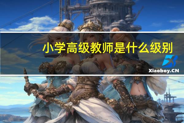 小学高级教师是什么级别