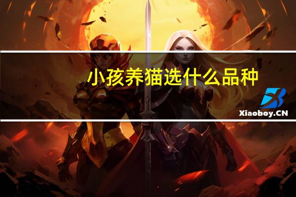 小孩养猫选什么品种