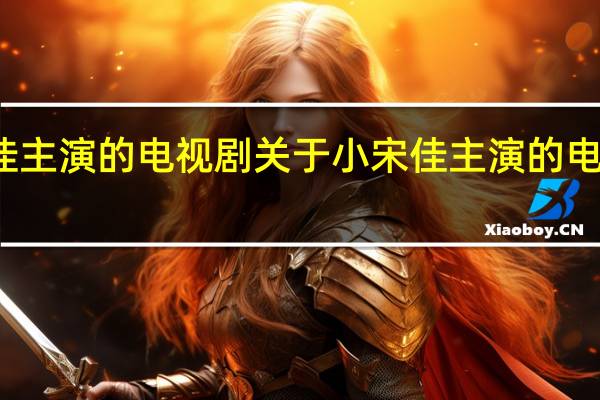 小宋佳主演的电视剧 关于小宋佳主演的电视剧的介绍