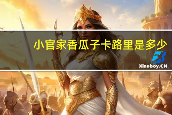 小官家 香瓜子卡路里是多少