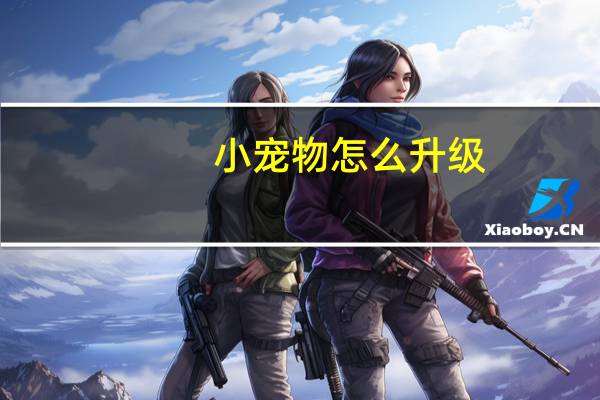 小宠物怎么升级