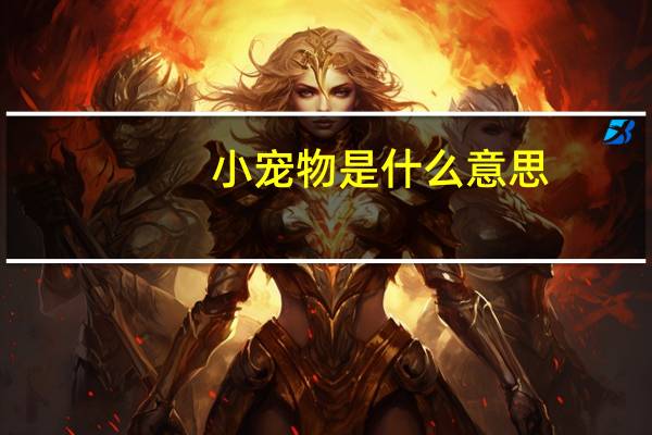 小宠物是什么意思