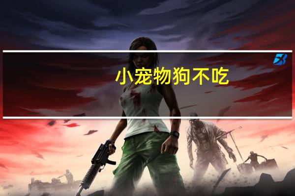 小宠物狗不吃