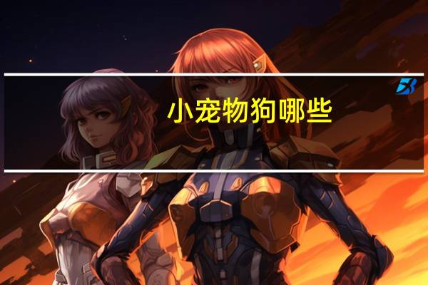 小宠物狗哪些