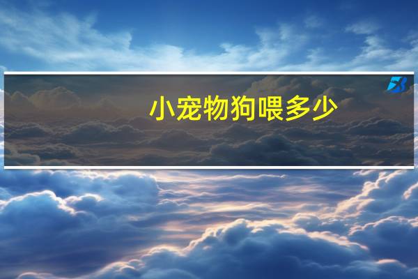 小宠物狗喂多少