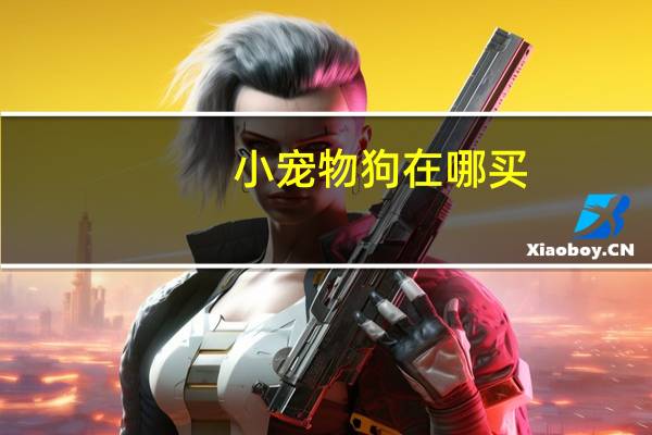 小宠物狗在哪买