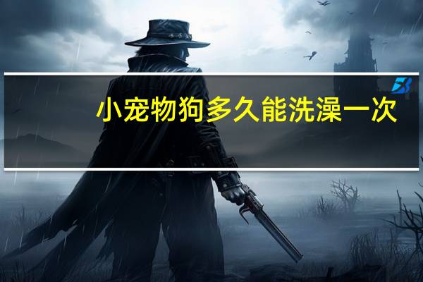 小宠物狗多久能洗澡一次