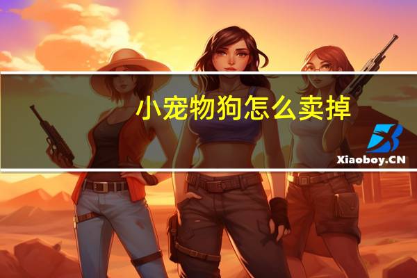 小宠物狗怎么卖掉