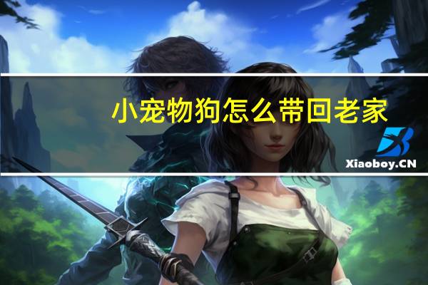 小宠物狗怎么带回老家