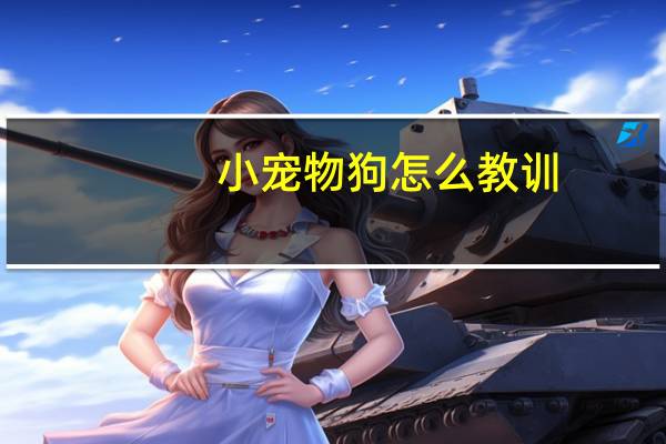 小宠物狗怎么教训