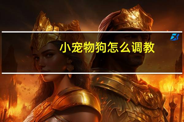 小宠物狗怎么调教