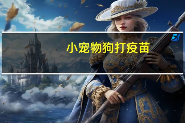小宠物狗打疫苗