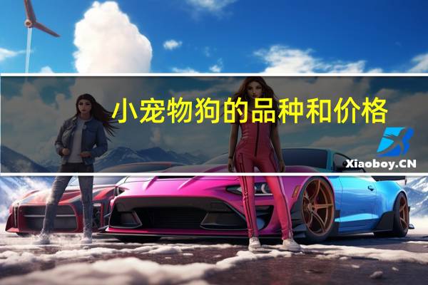 小宠物狗的品种和价格
