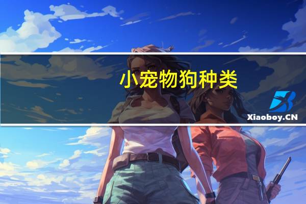 小宠物狗种类
