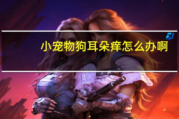小宠物狗耳朵痒怎么办啊