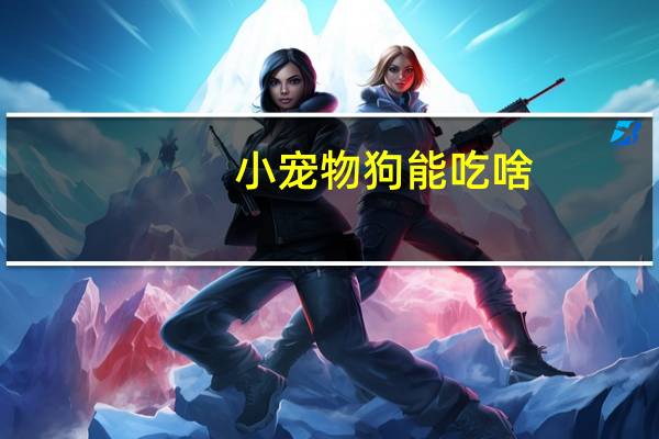 小宠物狗能吃啥