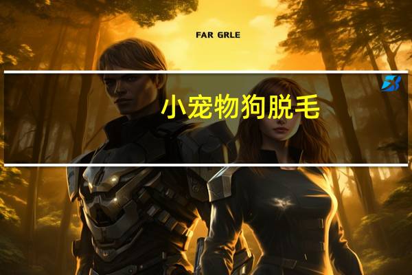小宠物狗脱毛
