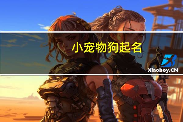 小宠物狗起名
