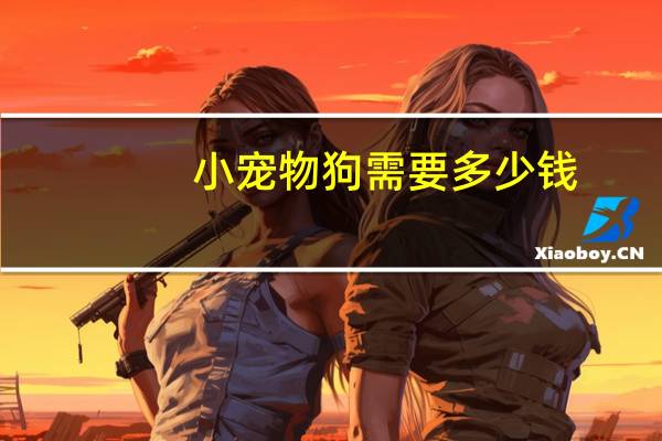 小宠物狗需要多少钱