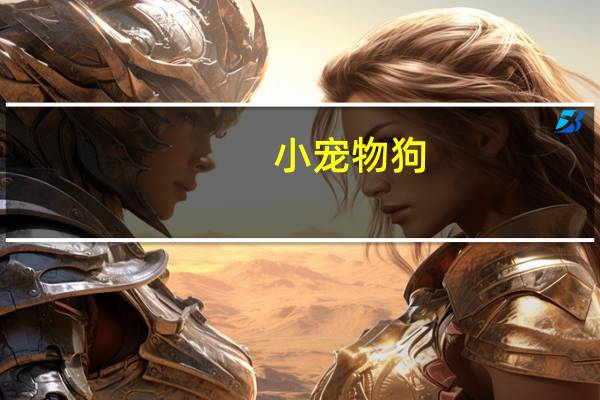 小宠物狗