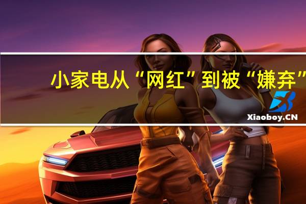 小家电从“网红”到被“嫌弃”
