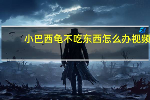 小巴西龟不吃东西怎么办视频（小巴西龟不吃东西怎么办）