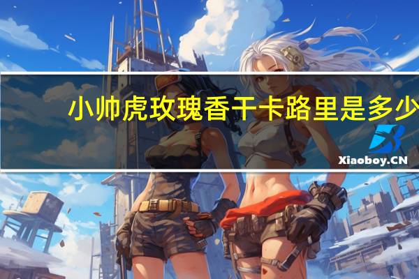 小帅虎 玫瑰香干卡路里是多少