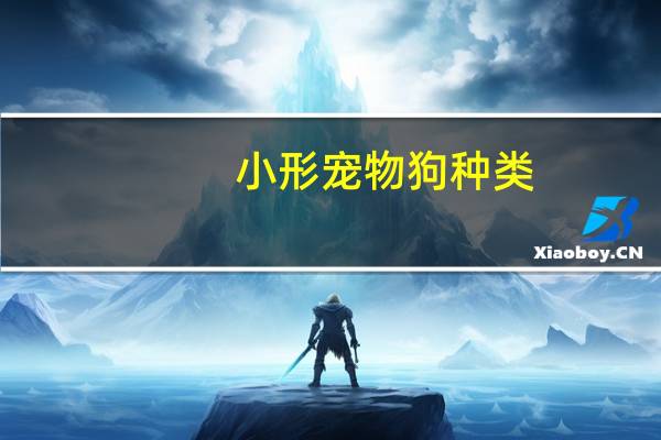 小形宠物狗种类