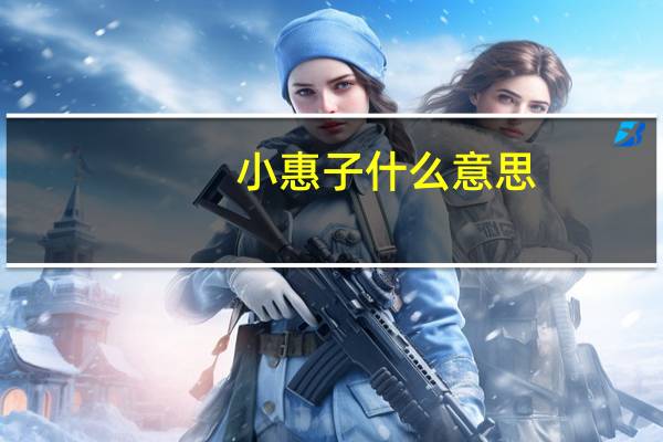 小惠子什么意思(小雅惠子)