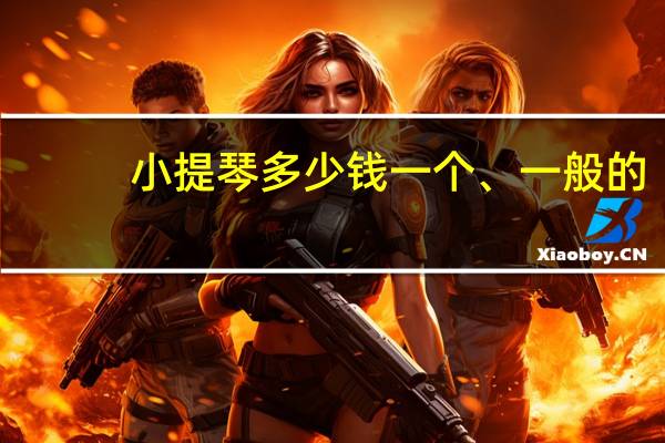 小提琴多少钱一个、一般的