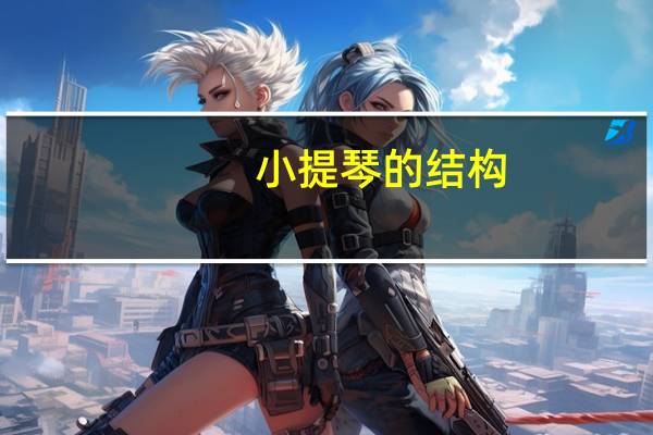 小提琴的结构(小提琴的价格)
