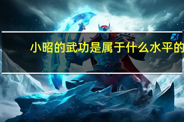 小昭的武功是属于什么水平的