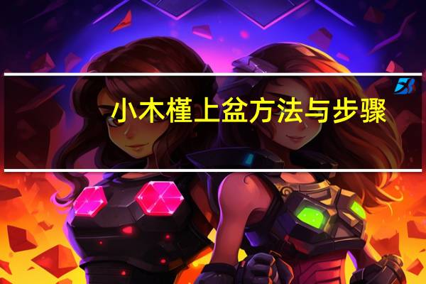 小木槿上盆方法与步骤