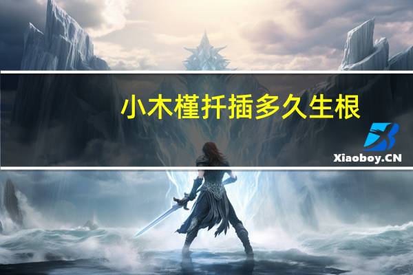小木槿扦插多久生根