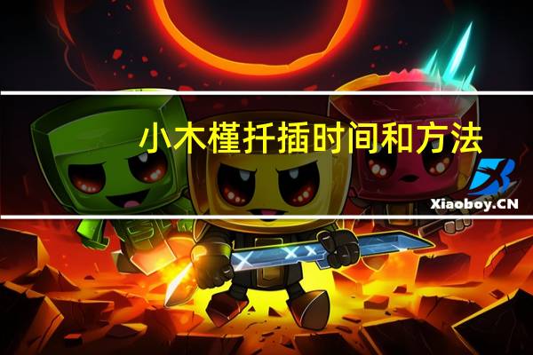 小木槿扦插时间和方法