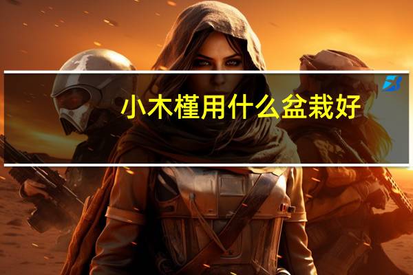 小木槿用什么盆栽好