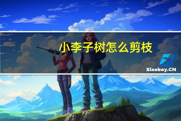 小李子树怎么剪枝
