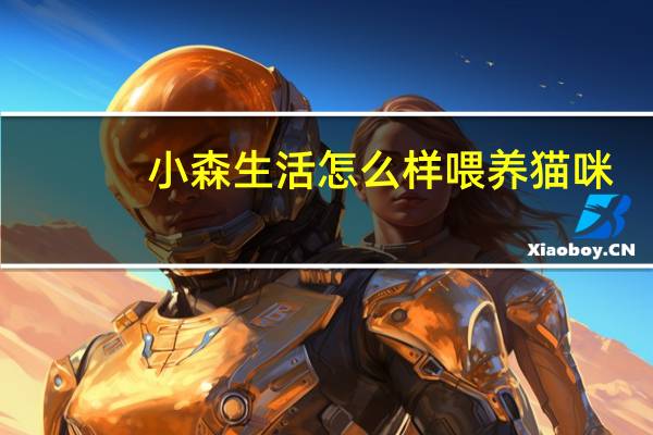 小森生活怎么样喂养猫咪