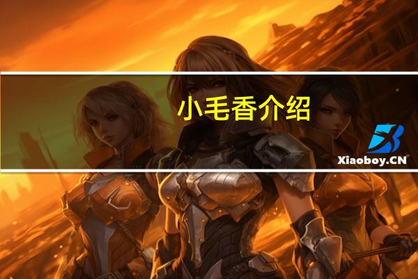 小毛香介绍
