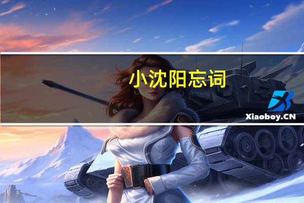 小沈阳忘词（勿忘心安-小沈阳翻唱歌曲简介）