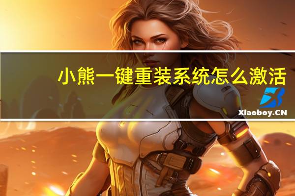 小熊一键重装系统怎么激活（小熊一键重装系统怎么样）