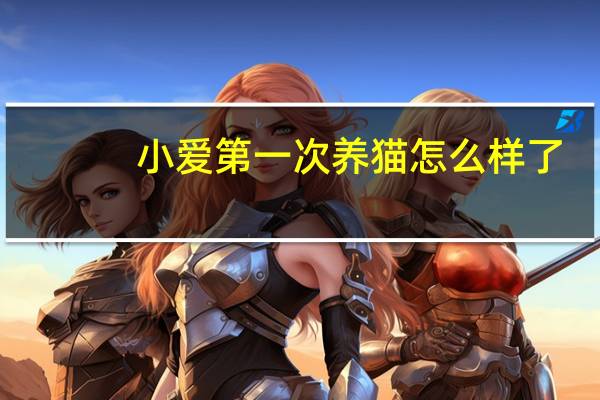 小爱第一次养猫怎么样了