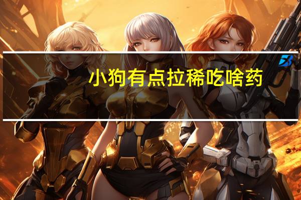 小狗有点拉稀吃啥药（小狗有点拉稀怎么办）